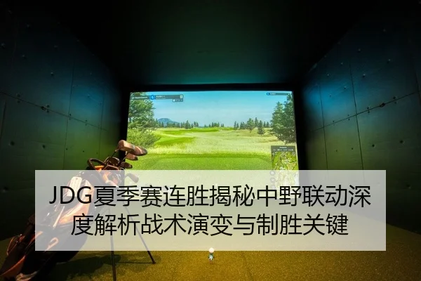 JDG夏季赛连胜揭秘中野联动深度解析战术演变与制胜关键